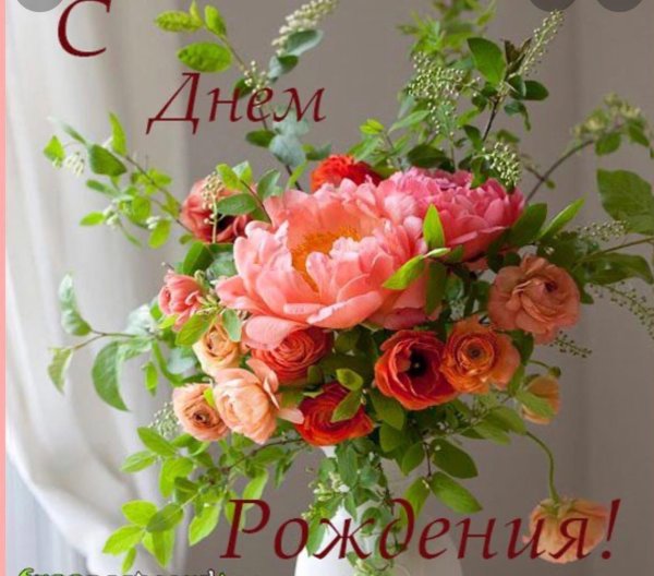 пион корал композиция