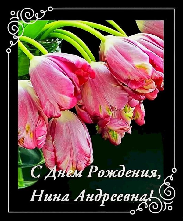 с днем рождения нина