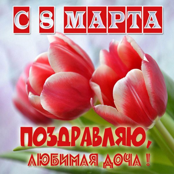 с праздниками 8 марта