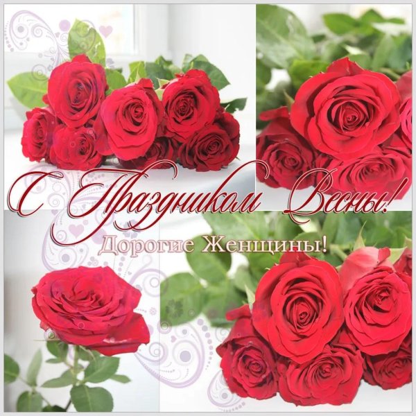 цветы для женщины