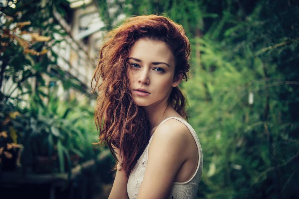 анна заболотская