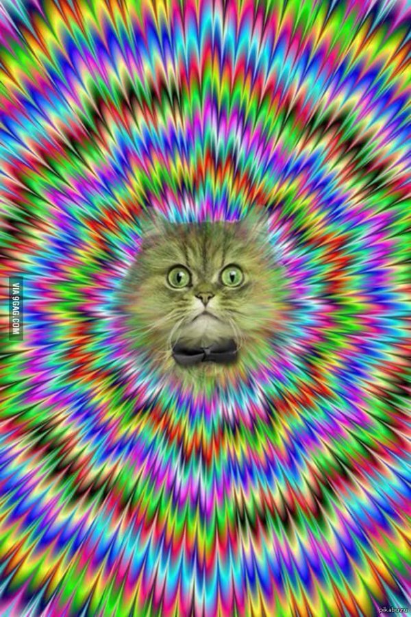 оптическая иллюзия