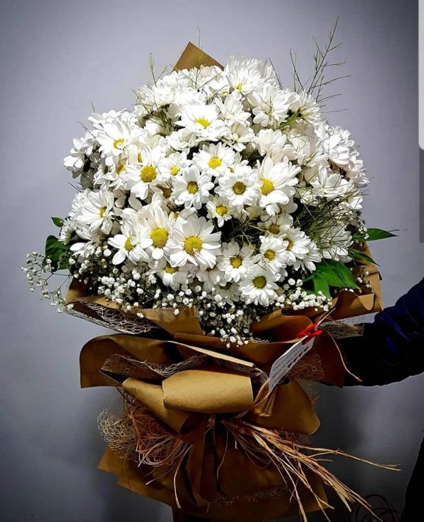 матрикария букет