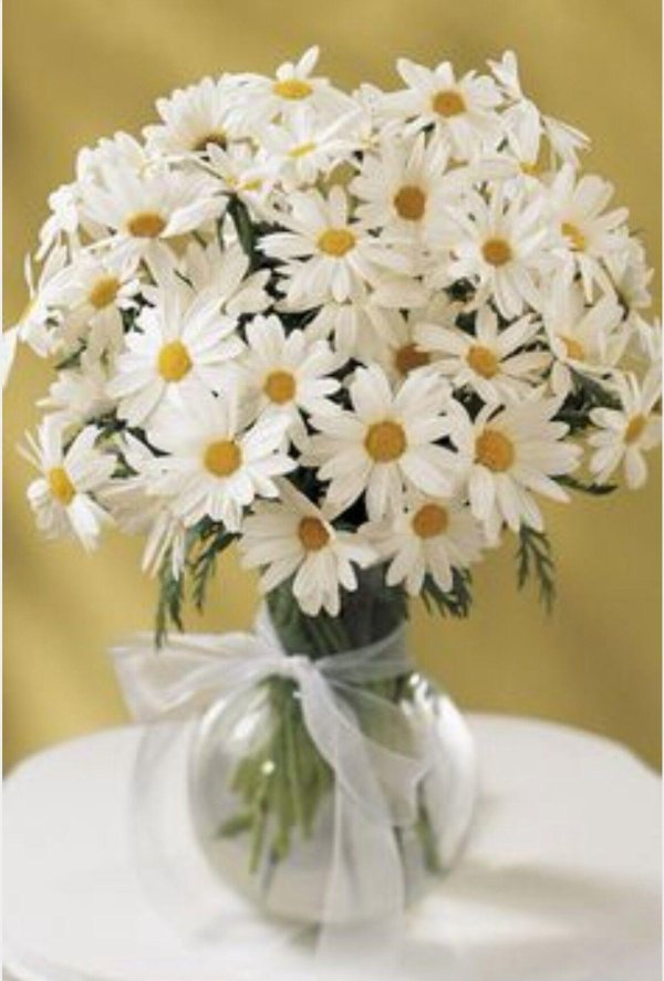 красивые букеты ромашек