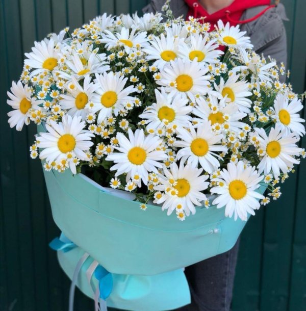красивые букеты из ромашек
