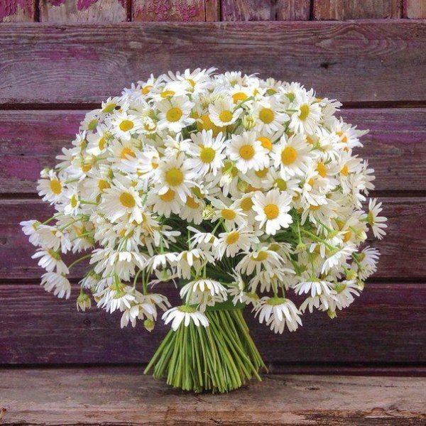 красивые букеты из ромашек