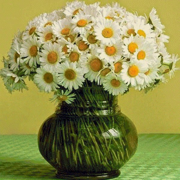 ромашка в вазе