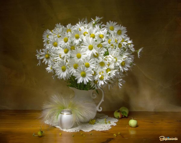 марина филатова фотонатюрморты ромашки