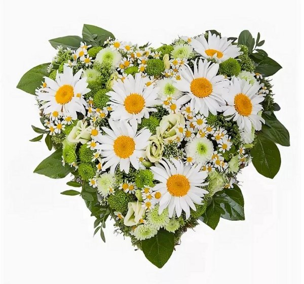 с ромашками