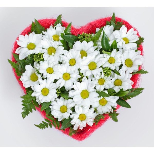 сердечко из ромашек