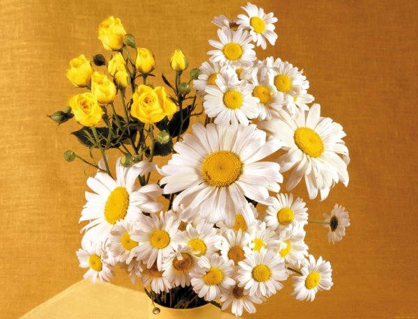 букет полевых цветов