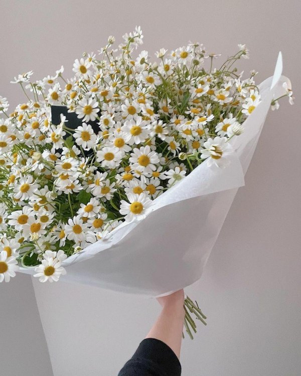 с ромашками