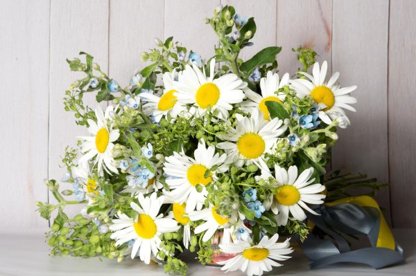 летние букеты