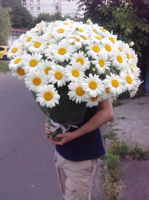 букет ромашек