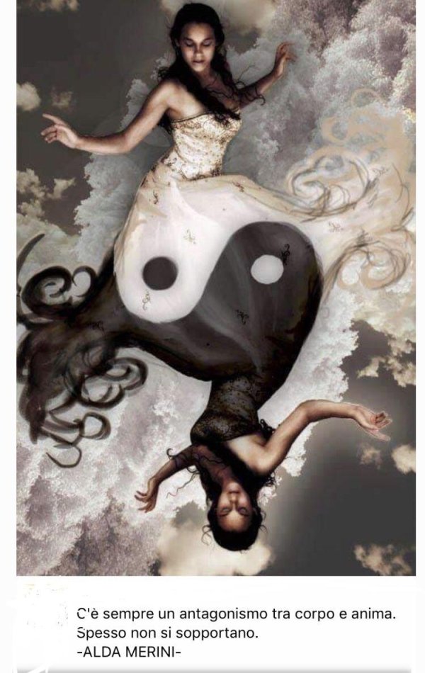 yin yang
