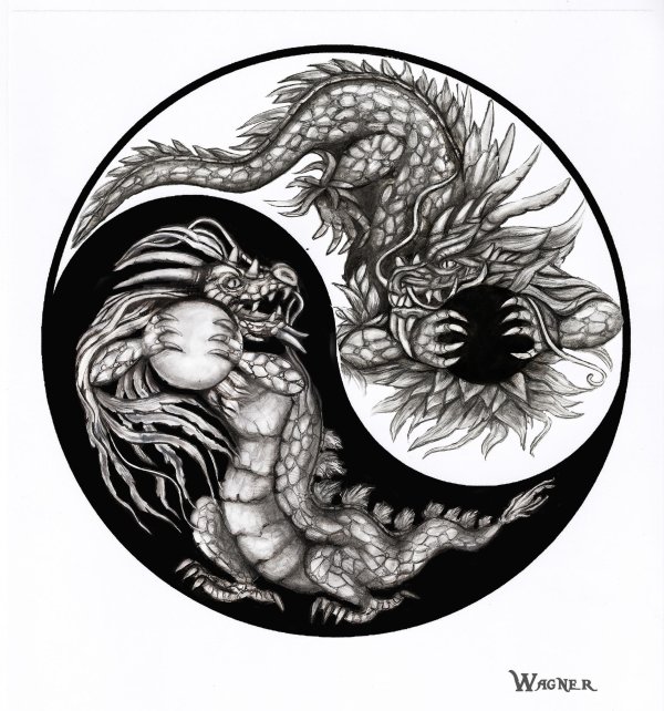 татуировка инь янь с драконом