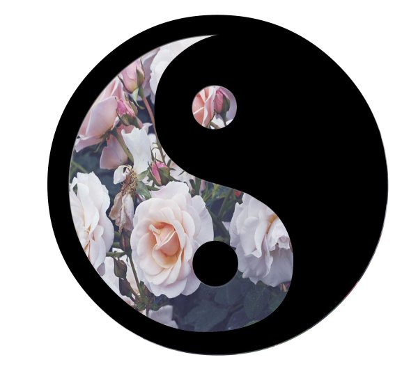 цветок символ