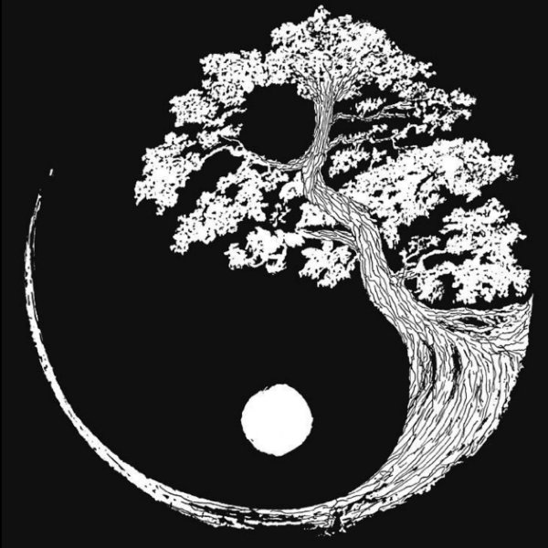 yin yang