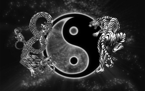 инь янь дракон