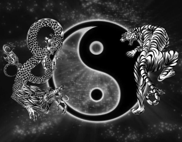 инь янь дракон