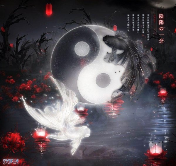 инь янь аниме