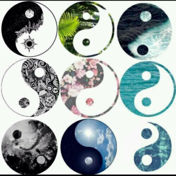 yin yang