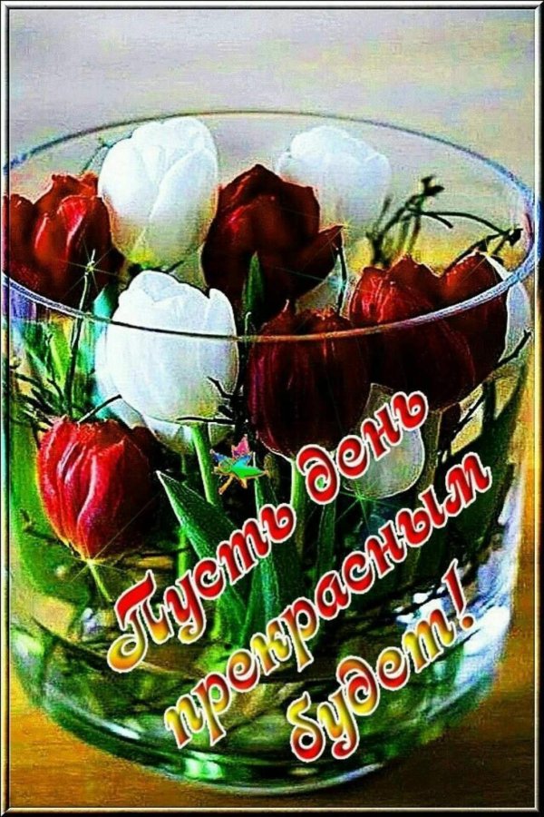 утро открытки доброе