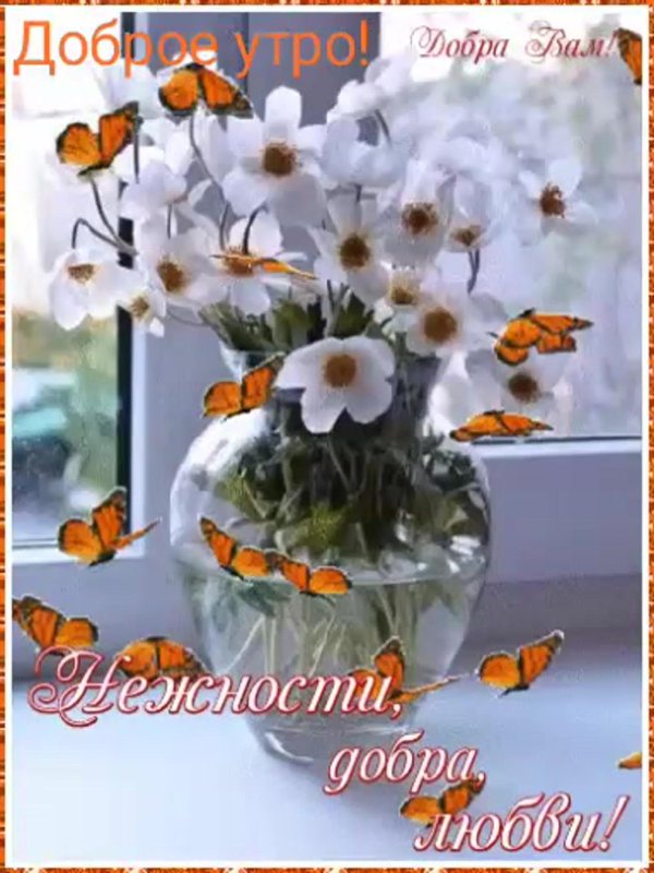 открытка нежность