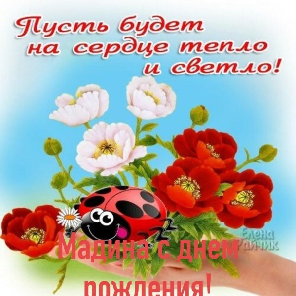 божья коровка на цветке