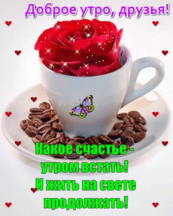 с добрым утром