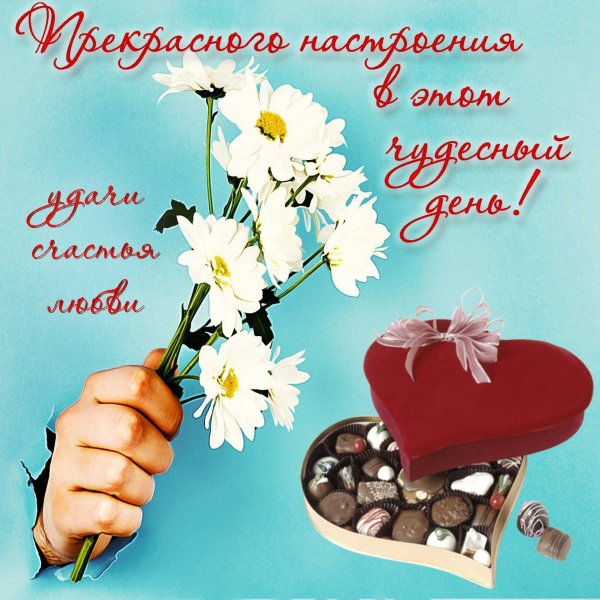 удачного дня и хорошего