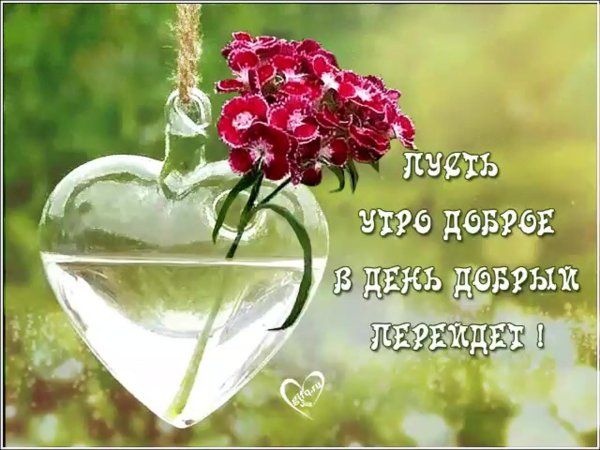 доброе утро пусть день