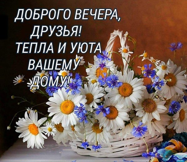доброго вечера друзья