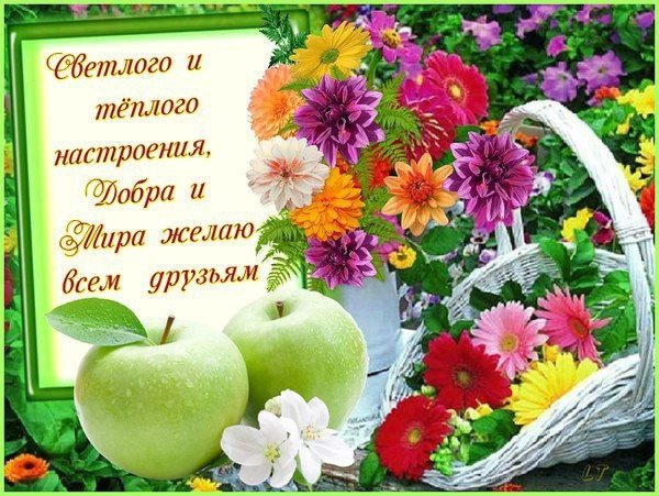 хорошего дня и здоровья открытки