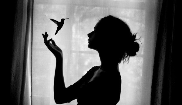 силуэт девушек