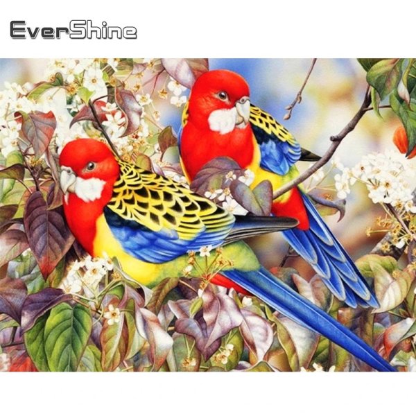 попугаи розелла