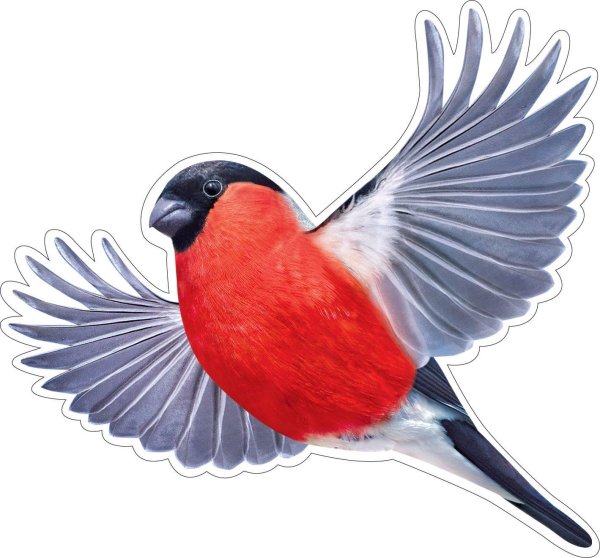 снегири в полете