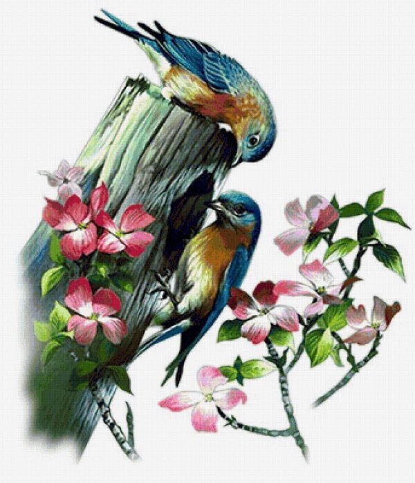 весна птички