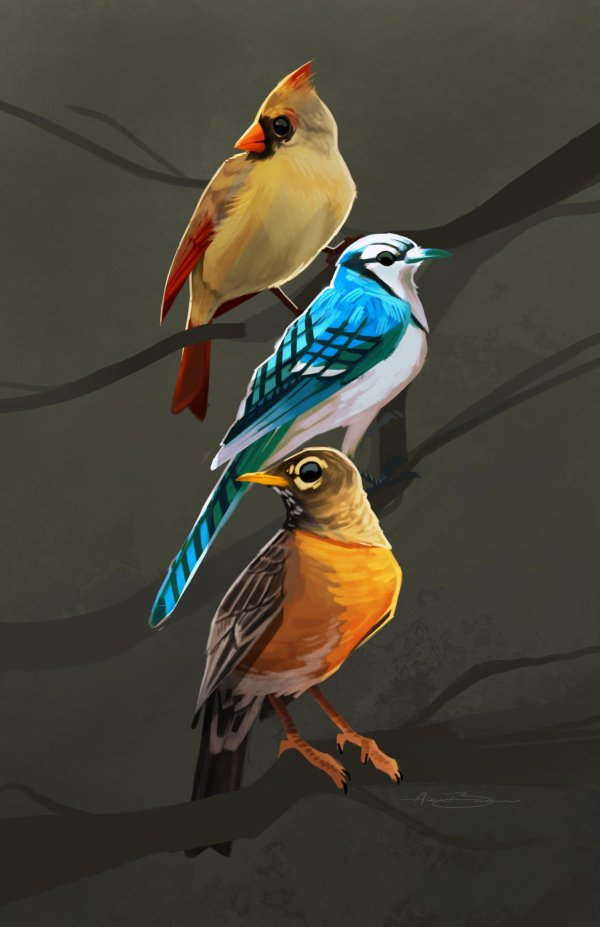 яркая птичка