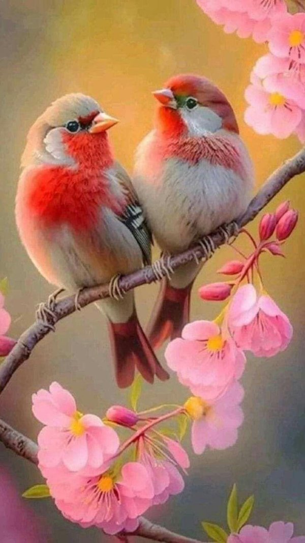 открытки с птицами