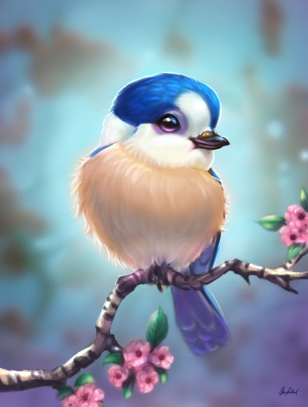 красивые рисунки птиц