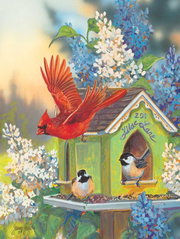 кормушка с птичками