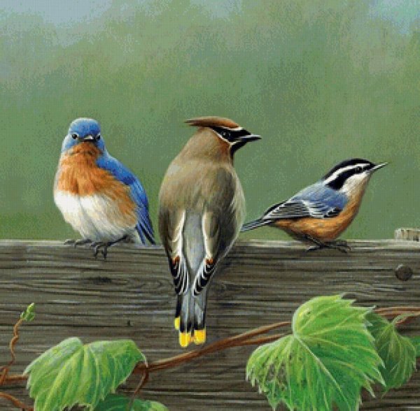 джеймс хаутман james hautman