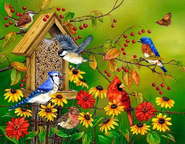 природа с птицами