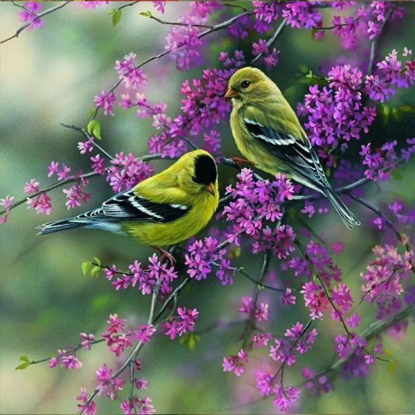 розмари миллетт rosemary millette