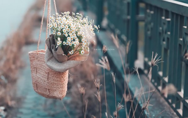 нежность природа