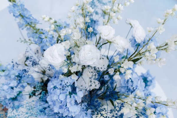 гипсофилы голубые