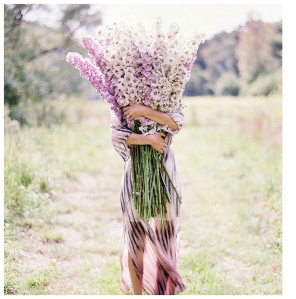 охапка цветов