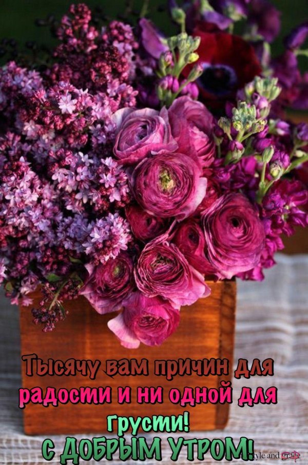 красивые цветочные композиции