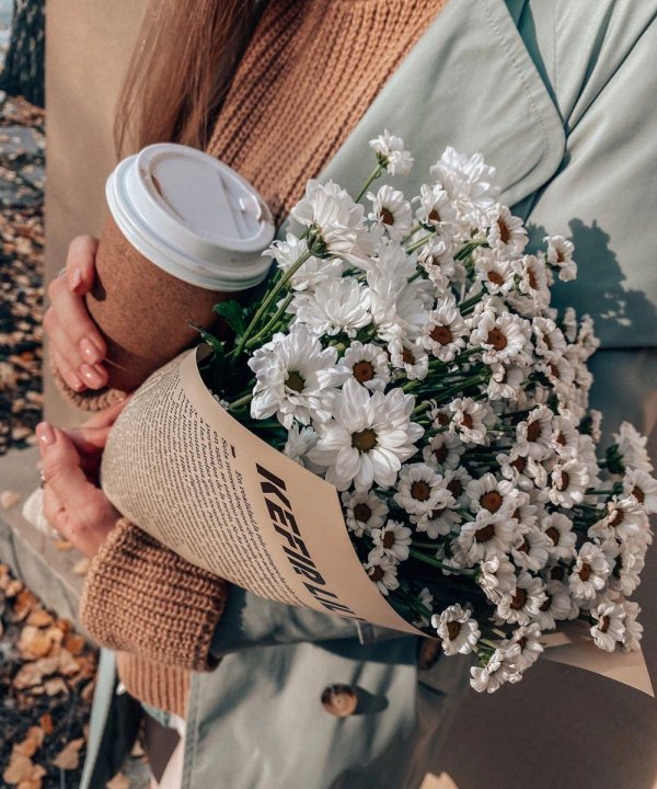 эстетика ромашек пинтерест